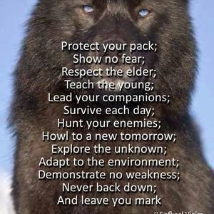 Meet your Posher, Grayson